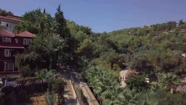 Θέα στη θάλασσα και το ξενοδοχείο, δέντρα σε μια ζεστή καλοκαιρινή μέρα, λόγω του Μπους ενός πράσινου φοίνικα. διακοπές — Αρχείο Βίντεο