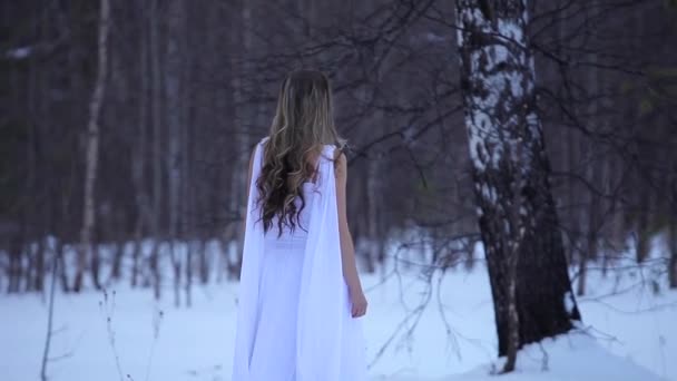 Dziewczyna w białej sukience. Anioł. nimfa leśna w jasnych ubraniach. Królowa śniegu. Modelka, piękna twarz. Elfowa peleryna, księżniczka w zimowym lesie, drzewa w mrozie, śnieg. — Wideo stockowe