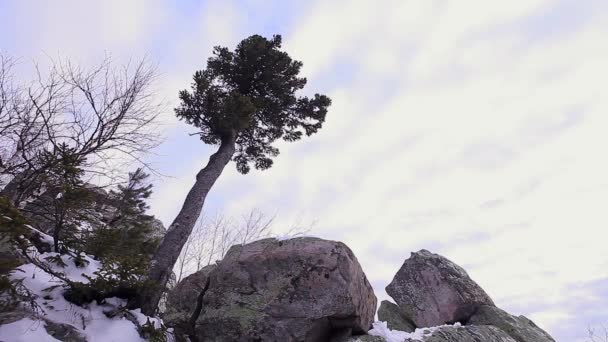 De priester predikt op de berg. Een man in de kleren van een pastoor staat op een steen. Winter en kou in de bergen — Stockvideo