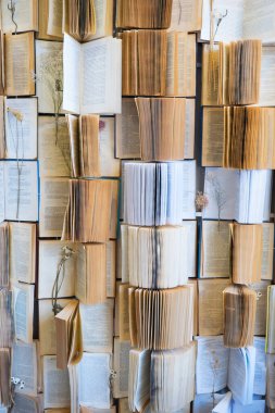 Geçmişi: Açık pek çok kitap. İçeride kurumuş çiçekler var. Sanat nesnesi