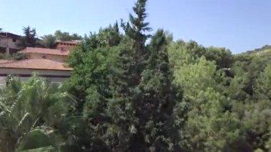 Deniz ve otel manzarası, sıcak bir yaz gününde ağaçlar yeşil bir palmiye ağacının çalısı yüzünden. tatil