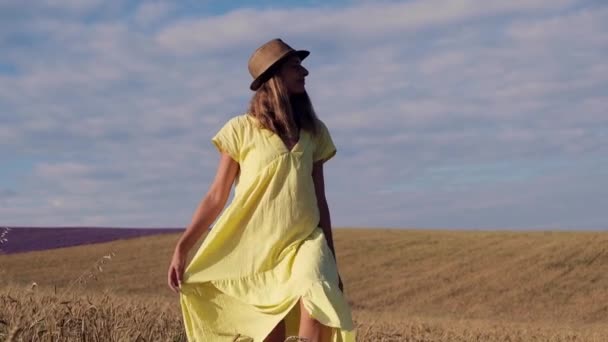 Récolte : le blé mûr pousse dans les champs. Le grain d'or et la fille marchent dans le champ. le soleil chaud caresse la peau — Video