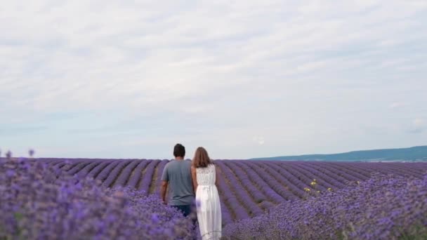 Una coppia innamorata cammina attraverso un prato fiorito - la lavanda. Amore e primavera in fiore. un uomo abbraccia una donna — Video Stock