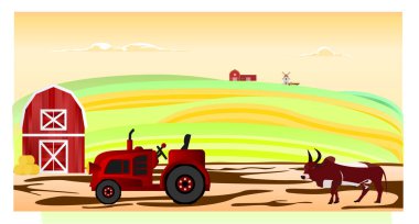 Barn and cattle in an open meadow field at noon. Concept of work in the field, livestock and agriculture labors. Vector illustration.