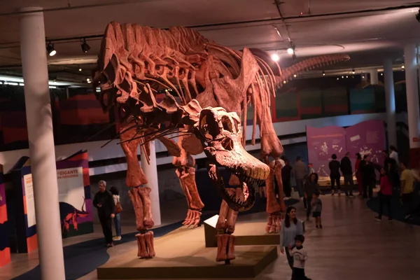 Esqueleto Patagotitano Dinossauros Expo Patagotitan Maior Dinossauro Mundo Set 2022 — Fotografia de Stock