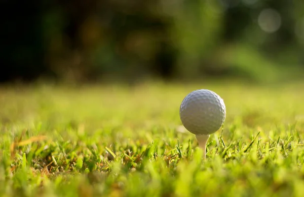 Piłka Golfowa Zieloną Trawą Zbliżenie Miękkiej Ostrości Słońcu Stadium Dla — Zdjęcie stockowe