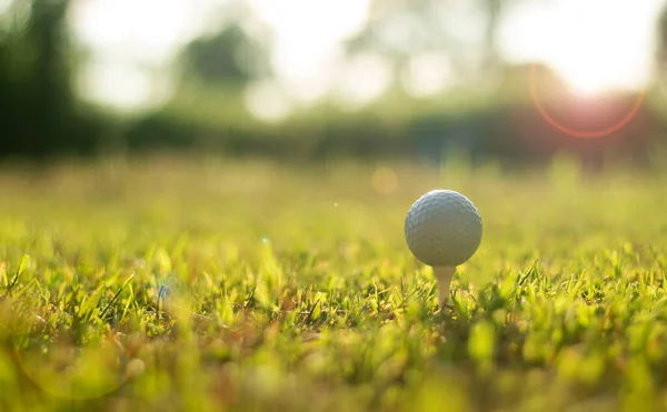 Golfový Míček Odpališti Připraven Výstřelu Široká Krajina Jako Pozadí Připraveni Stock Fotografie