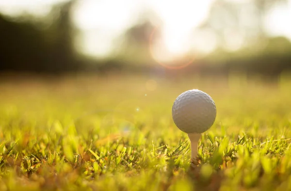 Bola Golfe Tee Belo Golfe Campo Golfe Com Sol Matutina — Fotografia de Stock