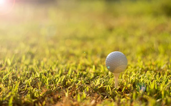 Golf Piłka Zieloną Trawą Zbliżenie Miękkiej Ostrości Słońcu Stadium Koncepcji — Zdjęcie stockowe