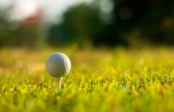Golfball Mit Grünem Gras Nahaufnahme Weichem Fokus Sonnenlicht Stadium Für — Stockfoto