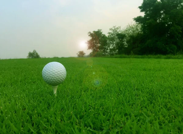 Atışa Hazır Golf Topu Yeşil Çimenli Arka Planda Golf Oyuncusu — Stok fotoğraf