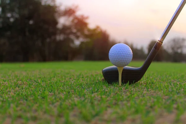 Campo Golfe Bola Grama Pronto Para Jogadores Golfe Para Começar — Fotografia de Stock