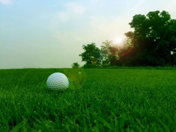 Golfbal Met Groen Gras Close Zachte Focus Bij Zonlicht Stadion — Stockfoto