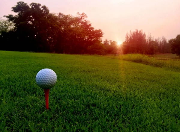 Bola Golfe Tee Vermelho Está Pronto Para Golfistas — Fotografia de Stock