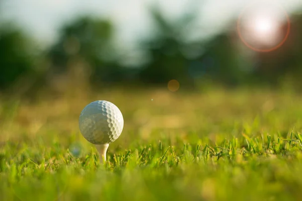 Pelota Golf Tee Hermoso Campo Golf Con Sol Mañana Listo Fotos de stock libres de derechos