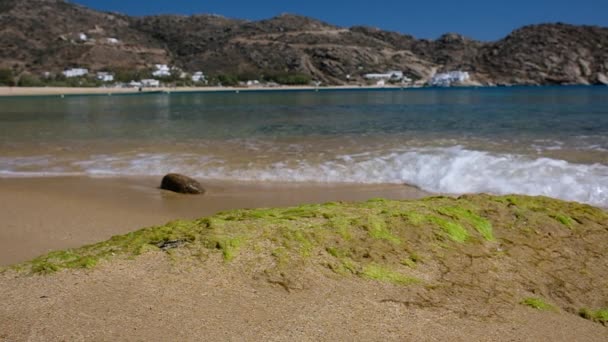 Vista Panoramica Della Bellissima Spiaggia Mylopotas Ios Grecia Rallentatore — Video Stock