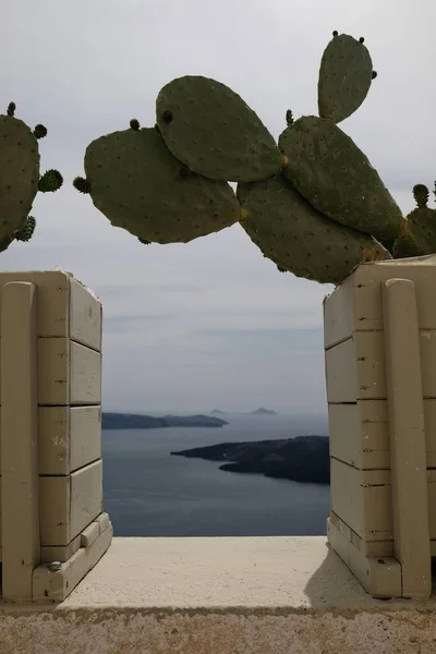 Vista Del Mar Egeo Volcán Santorini Través Cactus —  Fotos de Stock