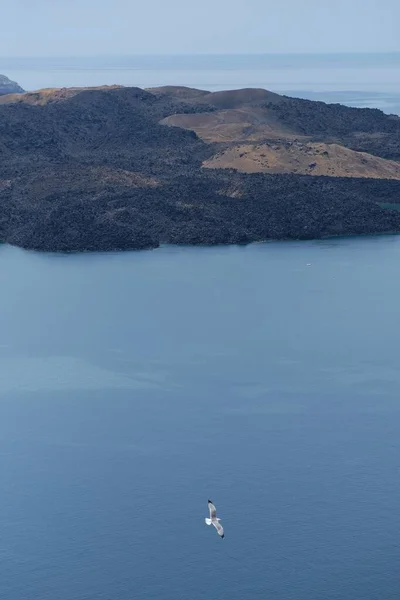 Meeuw Vliegend Prachtige Egeïsche Zee Santorini Griekenland — Stockfoto