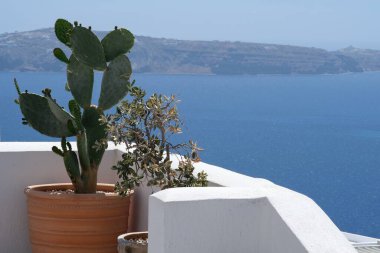 Santorini Yunanistan 'ın çatılarında çeşitli saksılar ve Ege Denizi manzarası