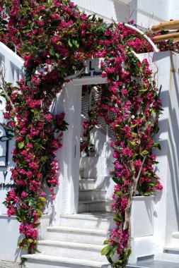 Her tarafı güzel çiçeklerle süslenmiş bir restoranın girişi.
