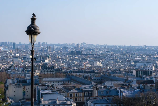 2022年3月22日 法国巴黎 巴黎全景 一只鸽子坐在灯柱上 — 图库照片