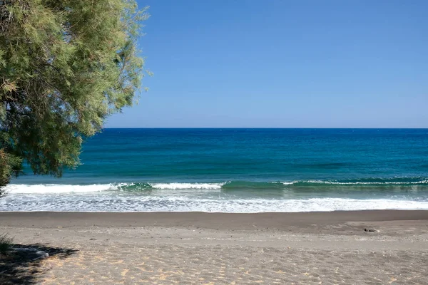 Trees Beautiful Black Sandy Beach Perissa Santorini —  Fotos de Stock