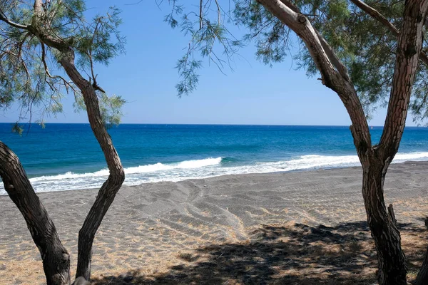 桑托里尼的树木和美丽的黑色沙滩 — 图库照片
