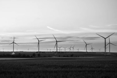 Heron Belçika 'da rüzgar türbinlerinin siyah beyaz bir resmi ve inanılmaz altın bir gün batımı.