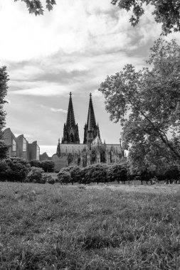 Köln Almanya 'daki çarpıcı katedral Dom siyah beyaz
