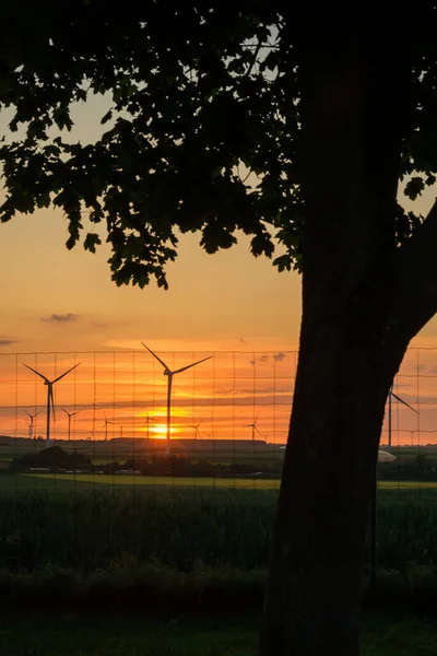 在比利时赫隆 风力涡轮机和令人惊奇的金色落日 — 图库照片