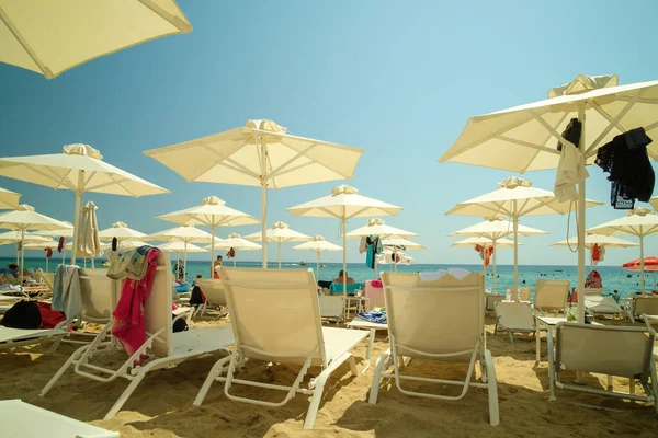 Nea Plagia, Yunanistan - 28 Ağustos 2022: Yunanistan 'da Chalkidiki' de bir sahil barında güneşli yatak ve şemsiye manzarası