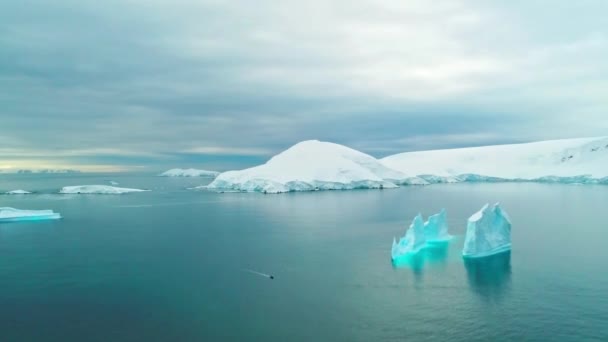 Antártica Vista Zangão Pólo Sul Icebergs Oceano Antártico Paisagem Incrível — Vídeo de Stock