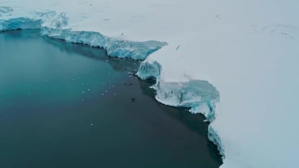 Antártida Vistas Los Drones Icebergs Polo Sur Océano Antártico Paisaje — Vídeos de Stock