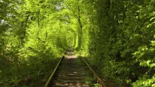 Tunnel Love Romantic Place Klevan Ukraine Railway Park Nature — Stock Video