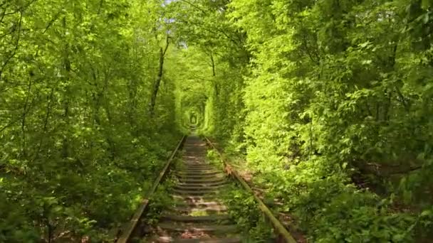 愛のトンネル ロマンチックな場所 Klevan ウクライナ — ストック動画