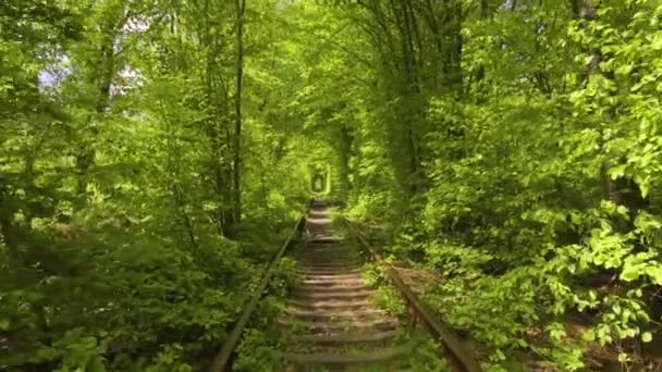 Tunnel Love Romantische Plaats Klevan Oekraïne Park Natuur Spoorweg — Stockvideo