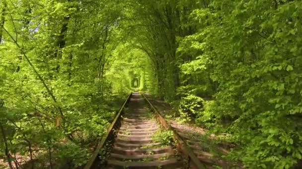 Tunnel Van Liefde Romantische Plaats Klevan Oekraïne Natuur Spoorweg Park — Stockvideo