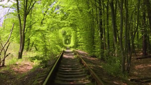 Tunnel Van Liefde Romantische Plaats Klevan Oekraïne Natuur Park Spoorweg — Stockvideo