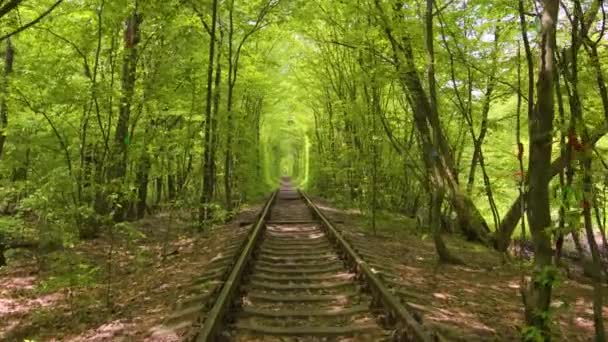 Tunnel Love Oekraïne Romantische Plaats Klevan Spoorweg Natuur Park — Stockvideo