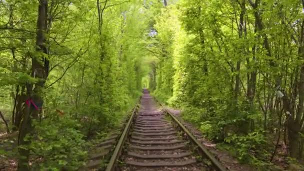 Tunel Lásky Ukrajina Romantické Místo Klevan Park Železnice Příroda — Stock video