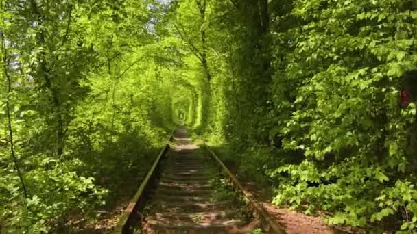 Tunnel Love Oekraïne Romantische Plaats Klevan Park Natuur Spoorweg — Stockvideo