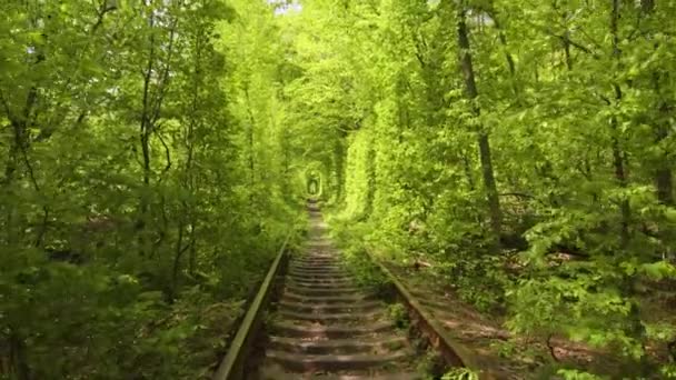 Tunel Miłości Ukraina Miejsce Romantyczne Klevan Natura Kolej Park — Wideo stockowe