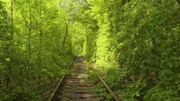 Tunnel Love Ukraine Romantic Place Klevan Nature Park Railway — Stock Video