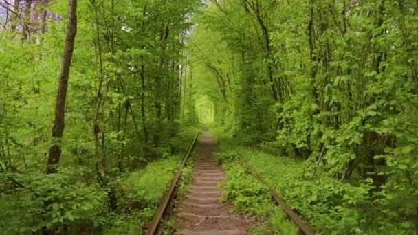 Tunnel Love Romantische Plaats Oekraïne Klevan Spoorweg Park Natuur — Stockvideo