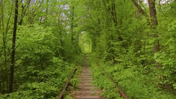 Tunnel Love Romantische Plaats Oekraïne Klevan Spoorweg Natuur Park — Stockvideo