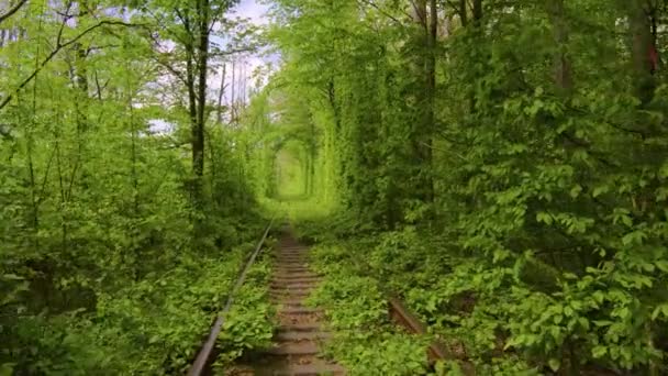 Tunel Lásky Romantické Místo Ukrajina Klevan Park Železnice Příroda — Stock video