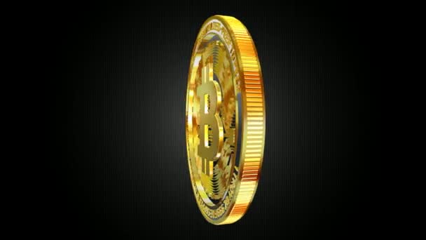 Render Gold Bitcoin Einer 360 Grad Drehung — Stockvideo