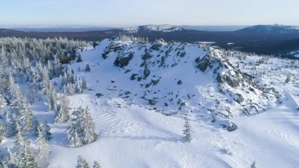 Inverno Nas Montanhas Voar Aéreo Paisagem Bonita Árvores Cobertas Neve — Vídeo de Stock