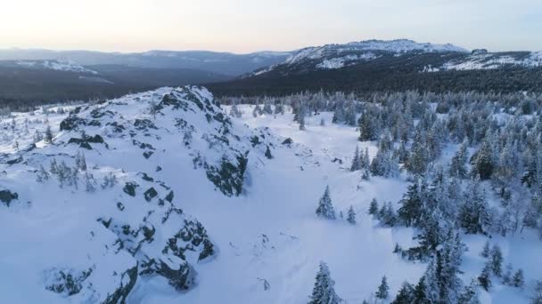 Inverno Nas Montanhas Bela Paisagem Voo Aéreo Árvores Cobertas Neve — Vídeo de Stock