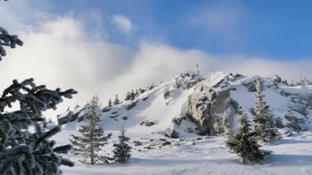 Invierno Las Montañas Árboles Cubiertos Nieve Naturaleza Paisaje Hermoso — Vídeos de Stock